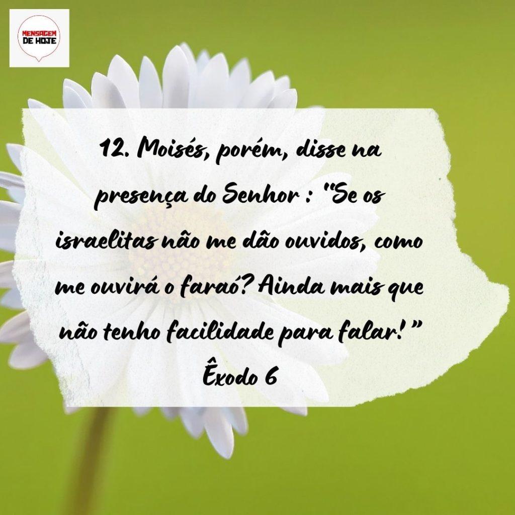 Salmos 26 de Setembro de 2022 7
