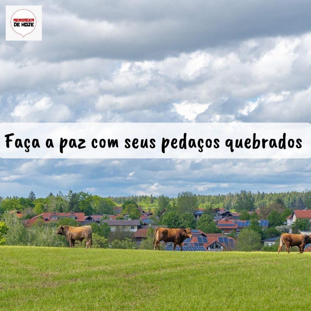 Pensamentos 26 de Setembro de 2022 11