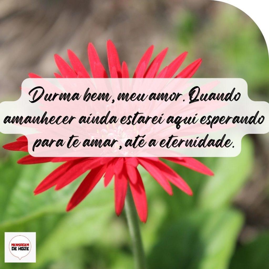 Boa Noite 21 de Setembro de 2022 20 Boa Noite 21 de Setembro de 2022 19