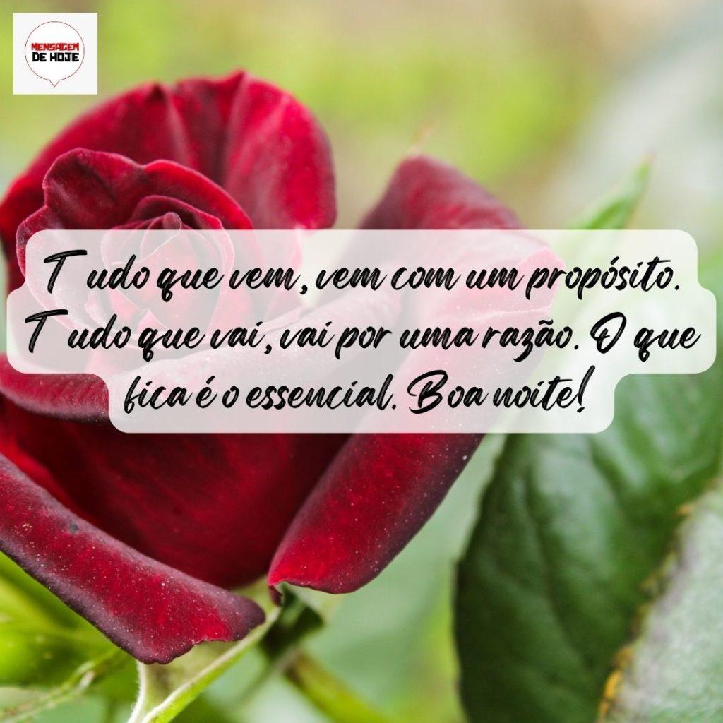 Boa Noite 18 de Setembro de 2022 19