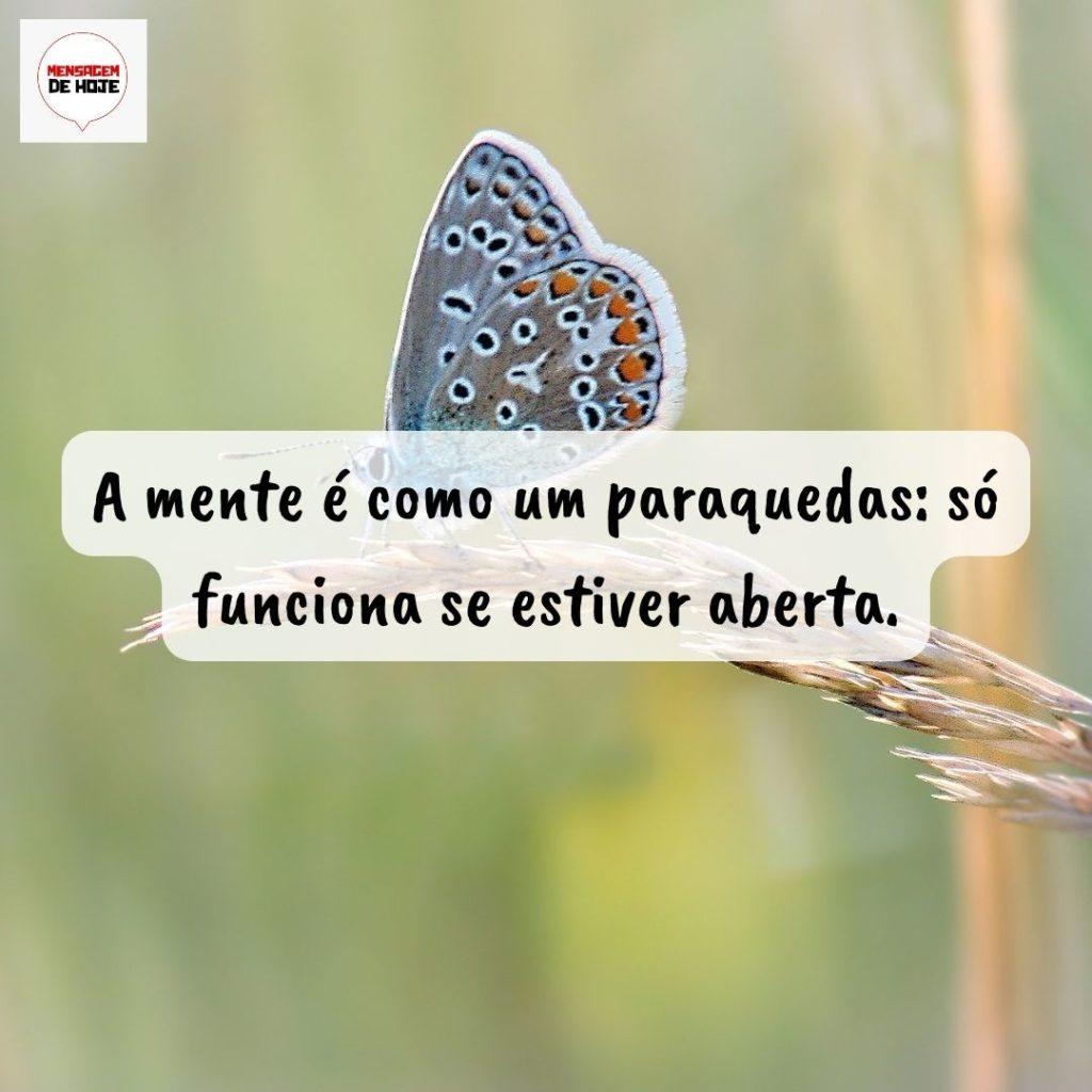 Pensamentos 12 de Setembro de 2022 15