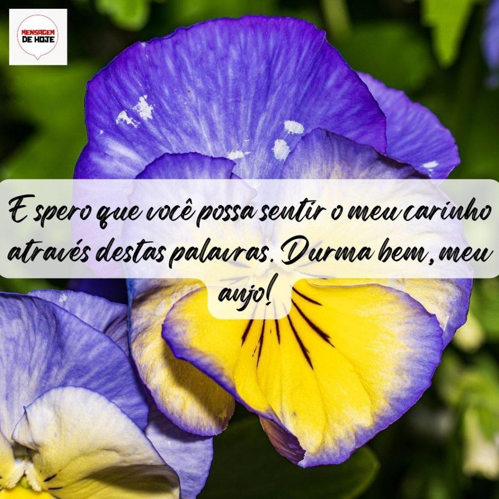 Boa Noite 11 de Setembro de 2022 1
