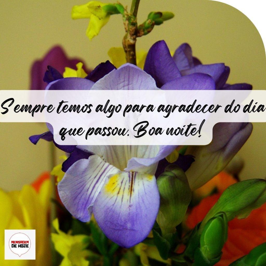 Boa Noite 04 de Outubro de 2022 3