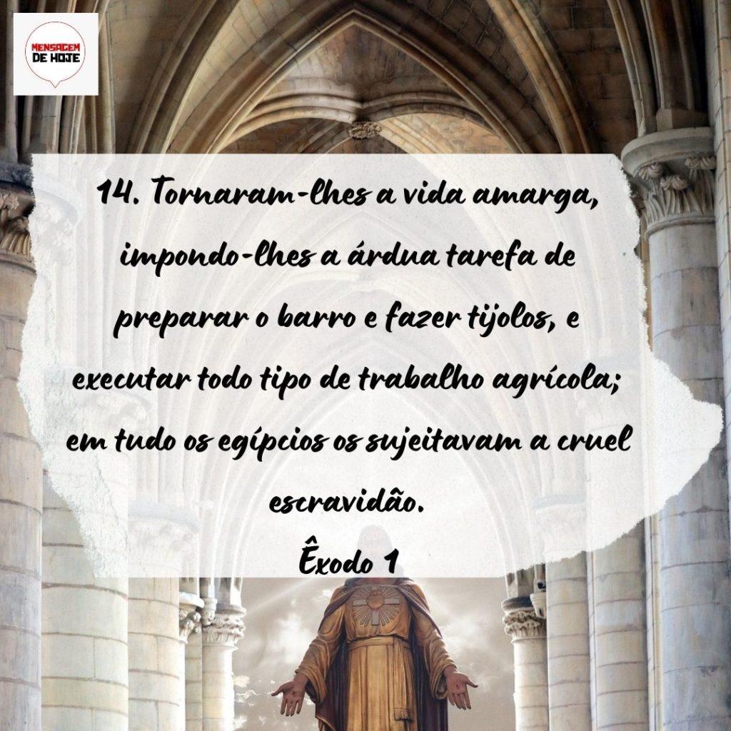 Salmos 13 de Setembro de 2022 3