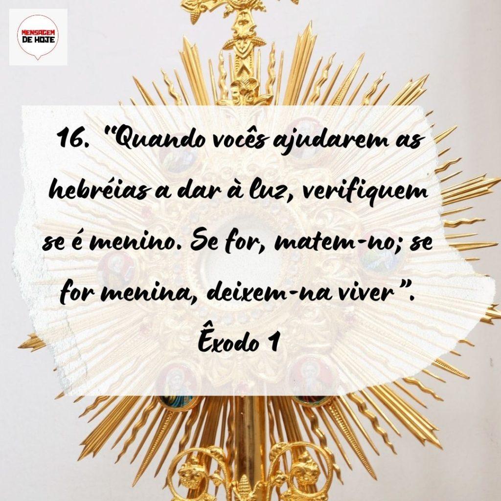 Salmos 14 de Setembro de 2022 11
