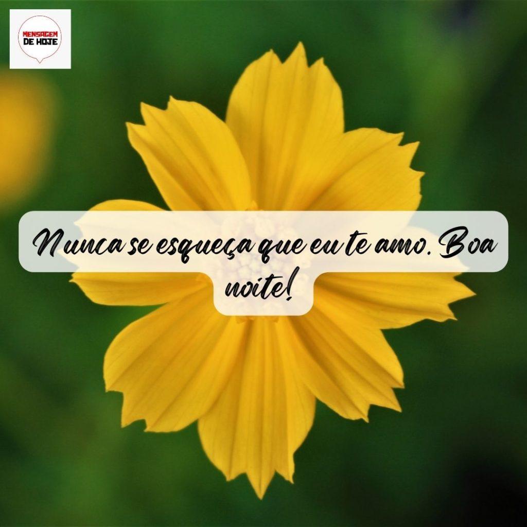 Boa Noite 12 de Setembro de 2022 13