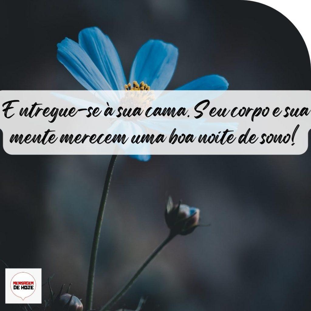 Boa Noite 05 de Outubro de 2022 15