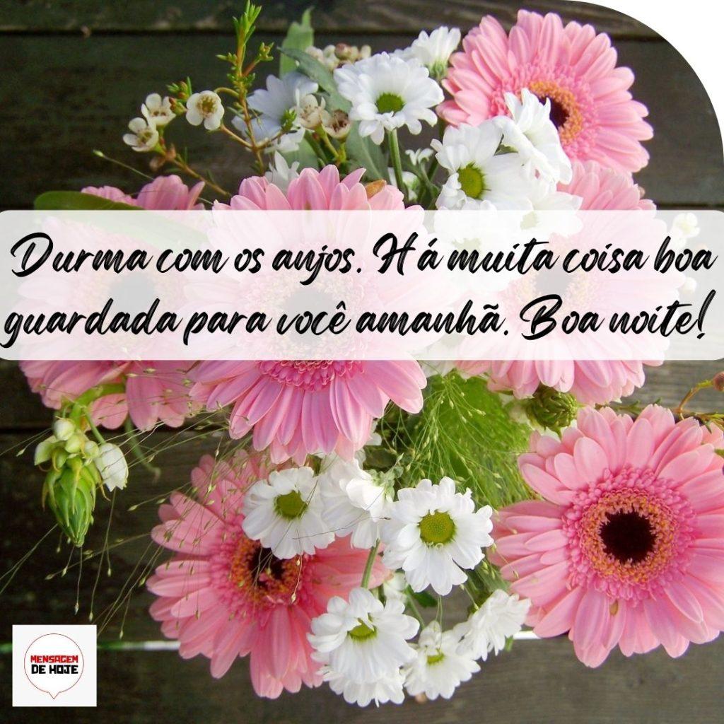 Boa Noite 05 de Outubro de 2022 3