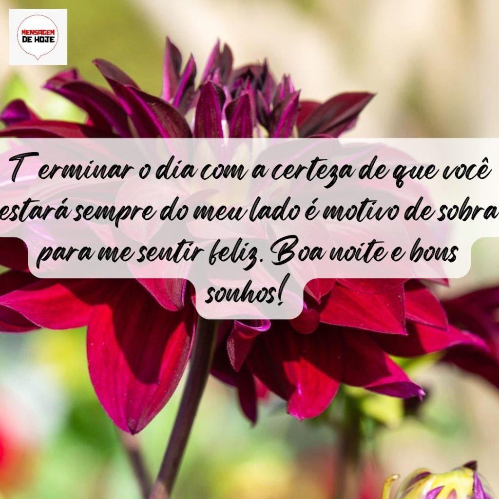 Boa Noite 13 de Setembro de 2022 13