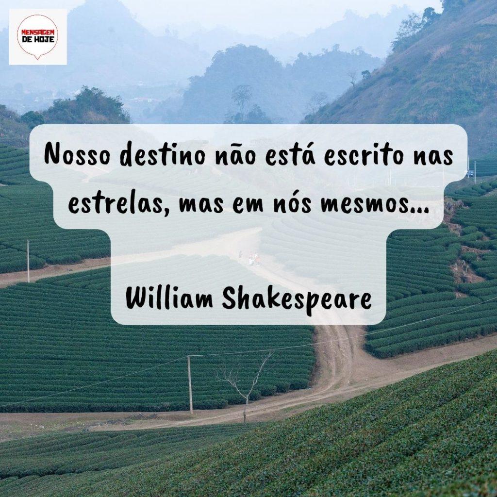 Pensamentos 14 de Setembro de 2022 17
