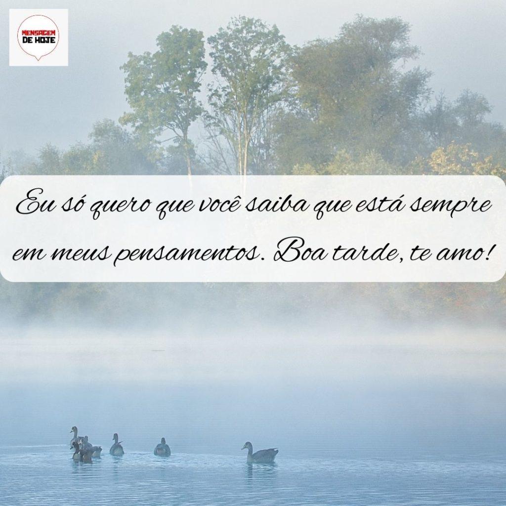 Boa Tarde 18 de Setembro de 2022 17