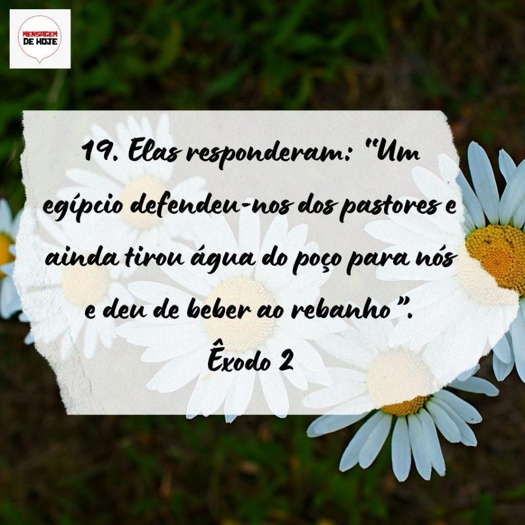 Salmos 16 de Setembro de 2022 17