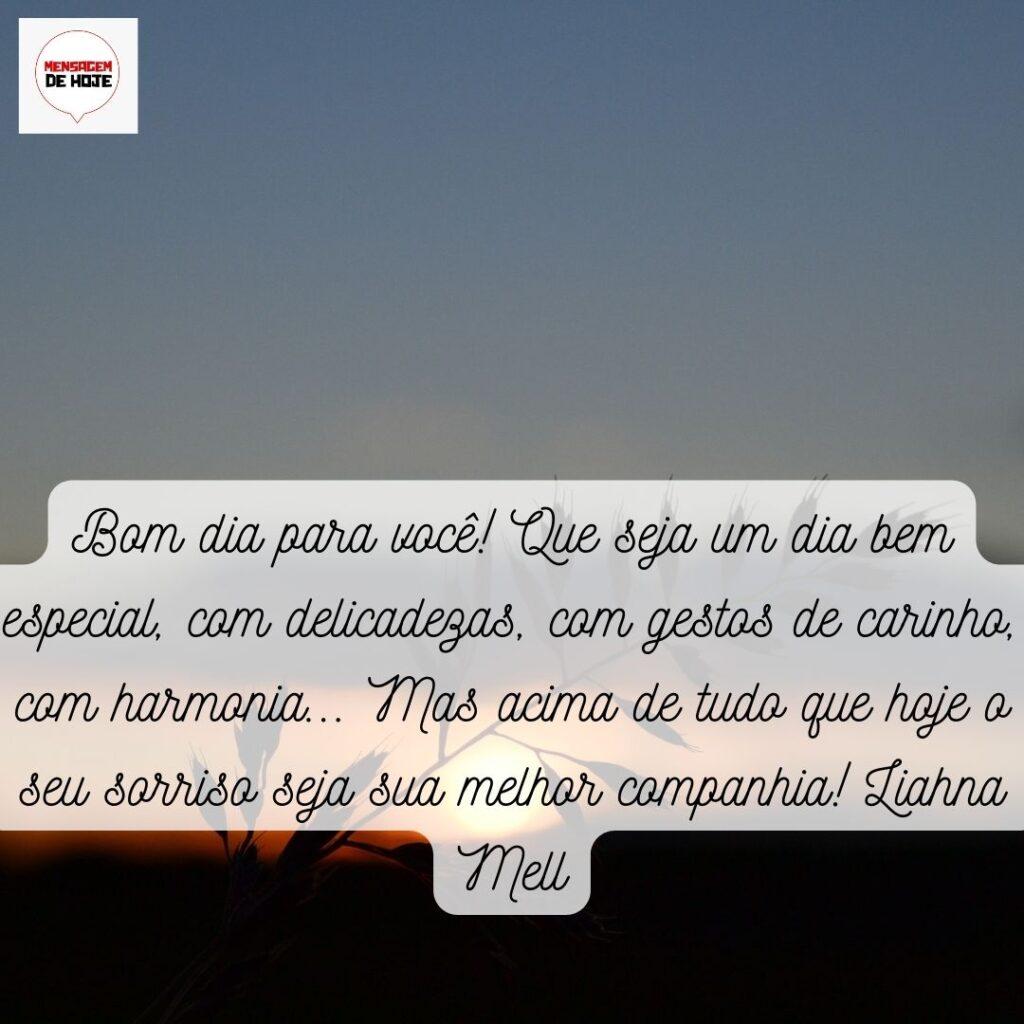 Bom Dia 26 de Novembro de 2022 5