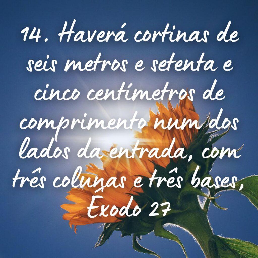 Salmos 17 de Outubro de 2022 3