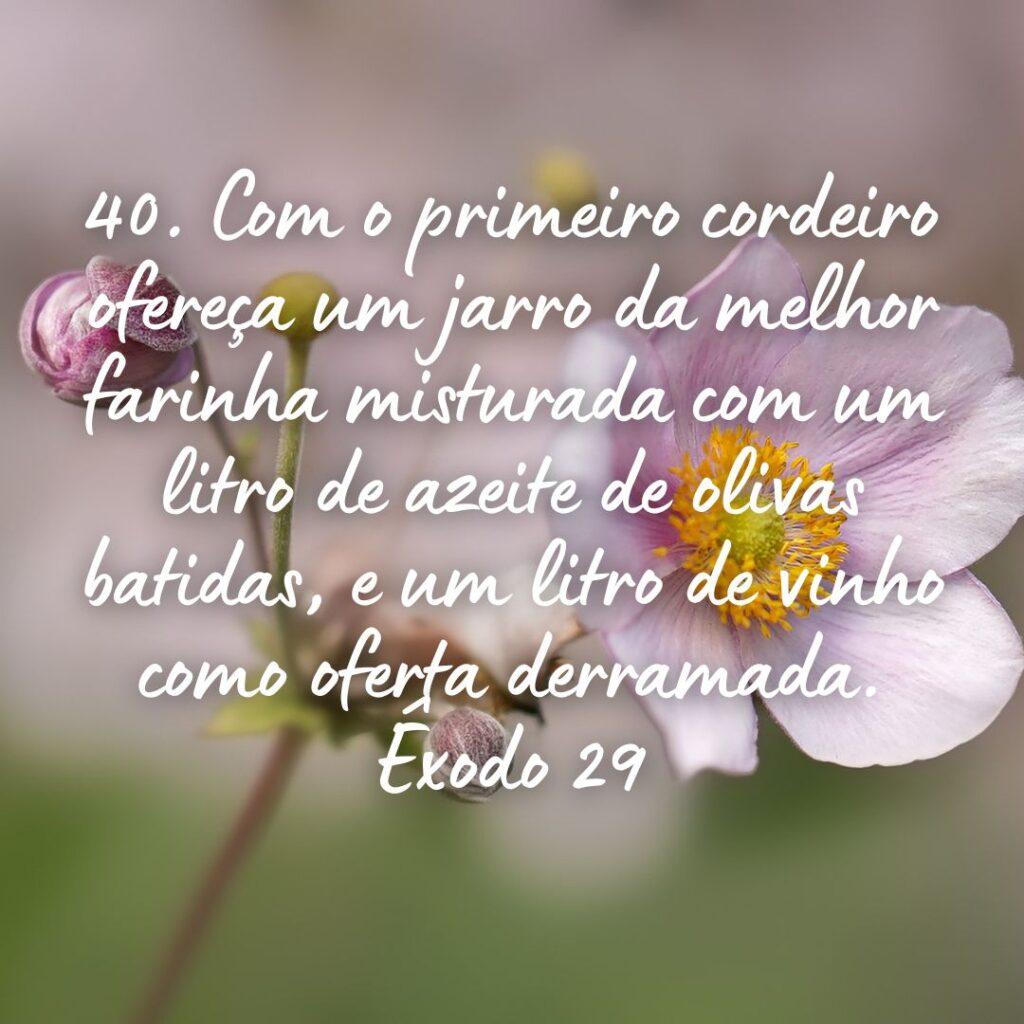 Salmos 26 de Outubro de 2022 3