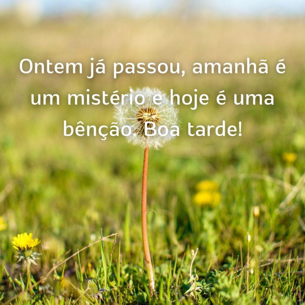 Boa Tarde 29 de Outubro de 2022 3
