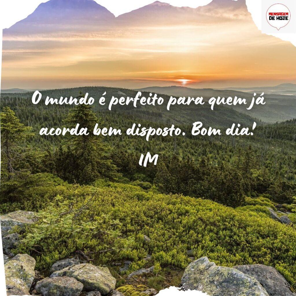 Bom Dia 16 de Novembro de 2022 5