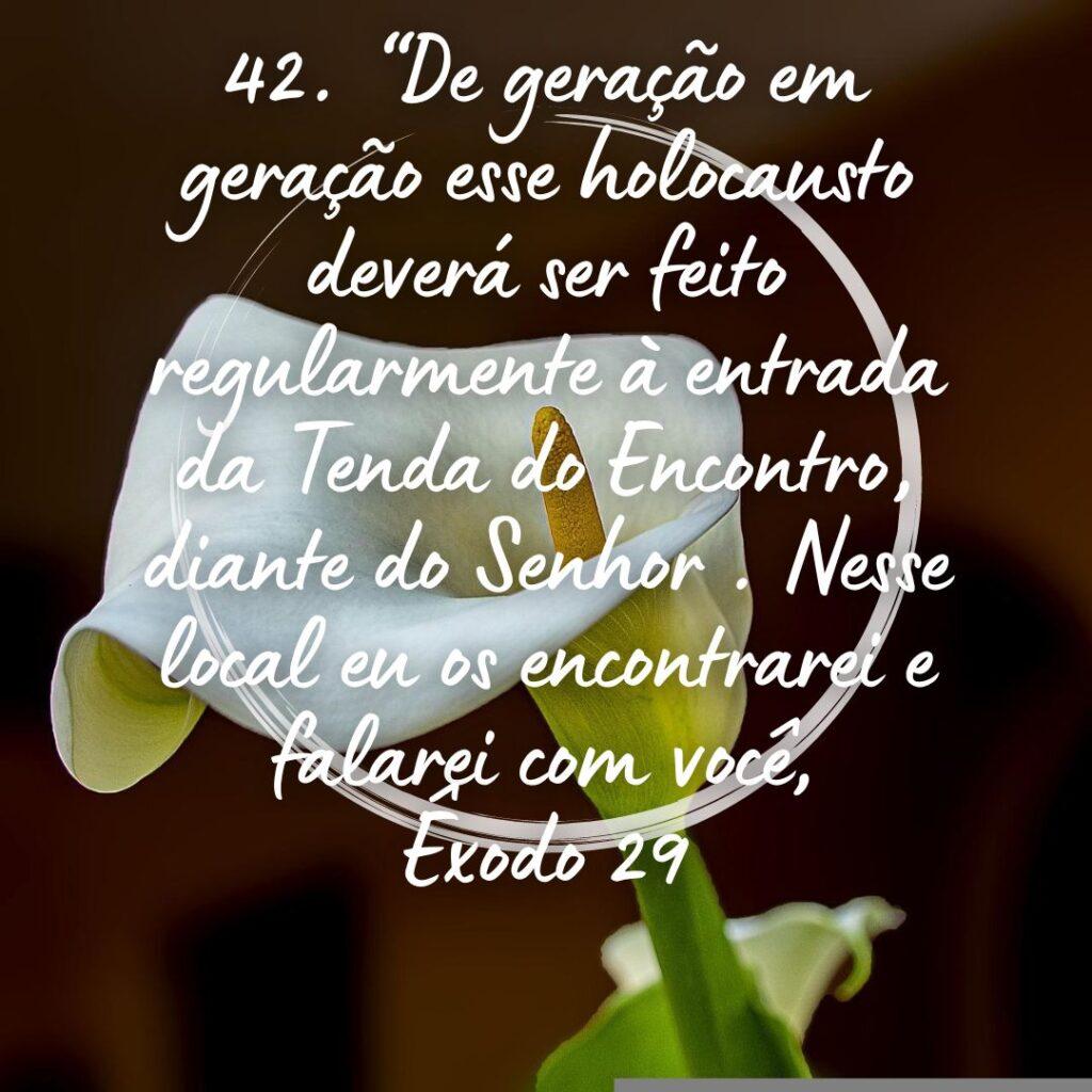Salmos 27 de Outubro de 2022 7