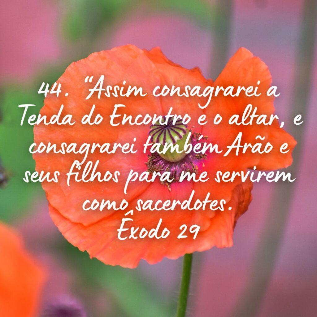 Salmos 27 de Outubro de 2022 11
