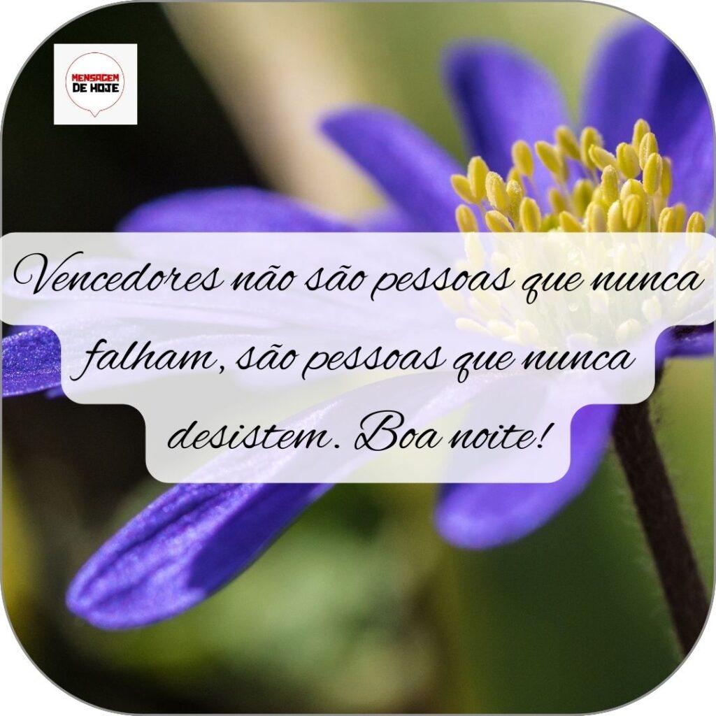 Boa Noite 28 de Outubro de 2022 11