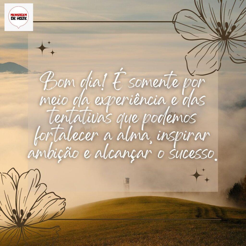 Bom Dia 14 de Outubro de 2022 11