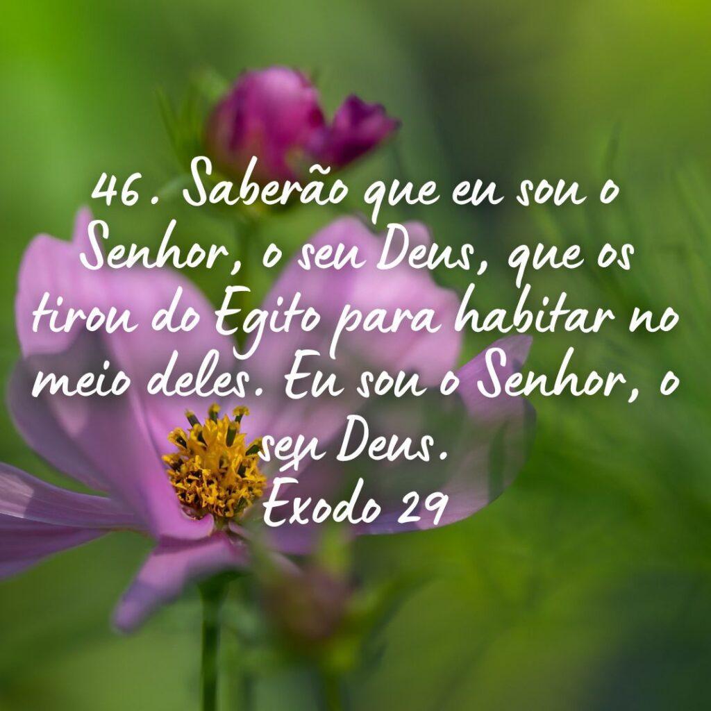 Salmos 27 de Outubro de 2022 15
