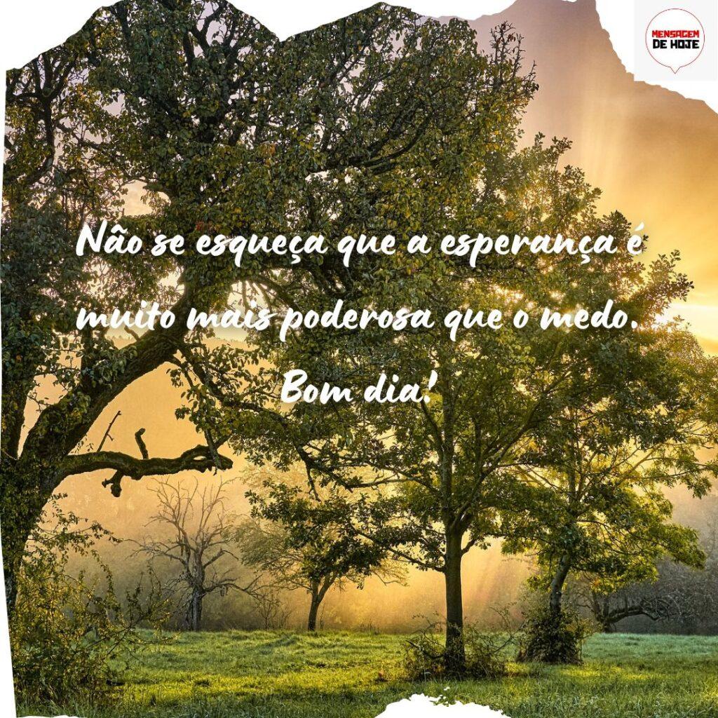 Bom Dia 16 de Novembro de 2022 17