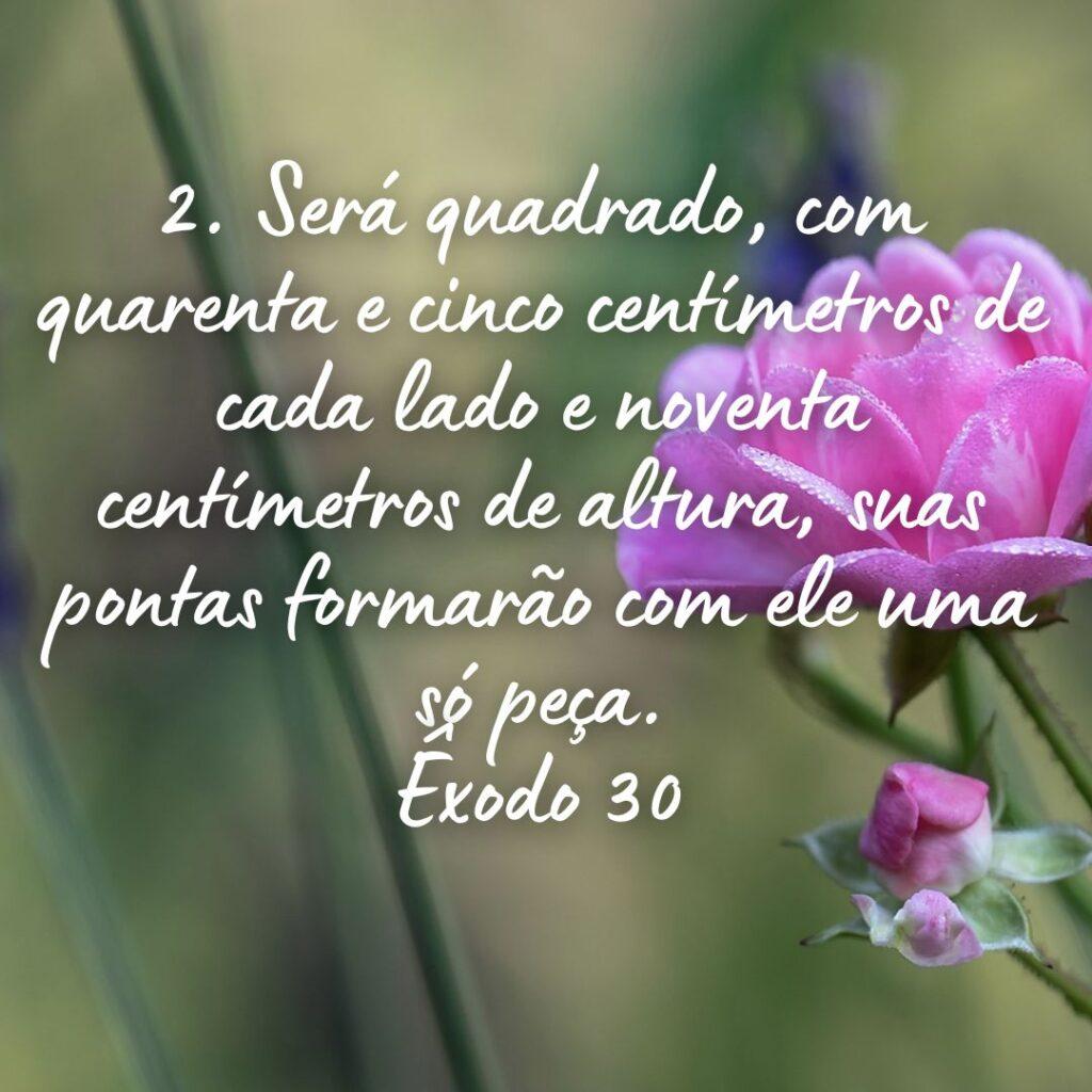 Salmos 27 de Outubro de 2022 19