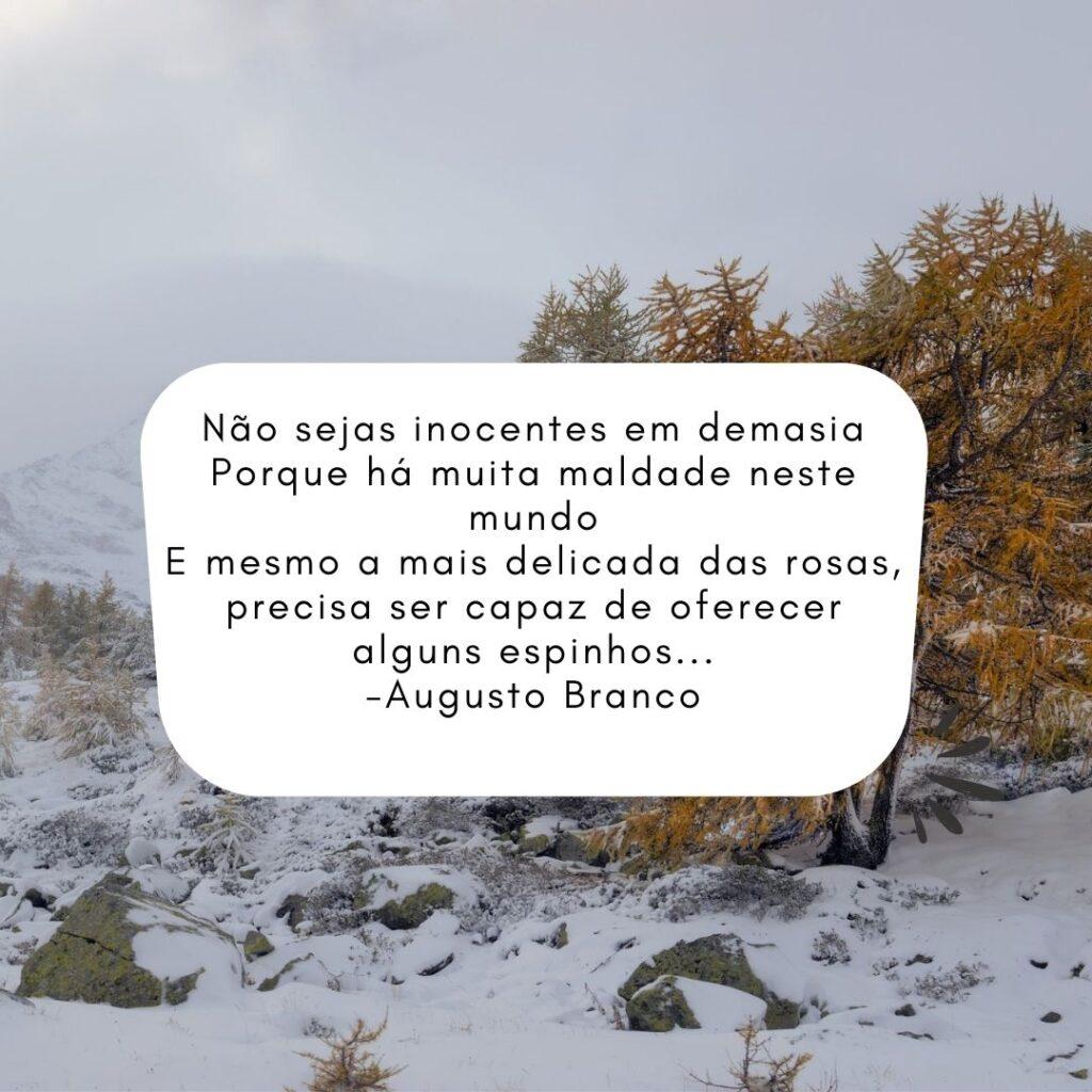 Pensamentos 26 de Outubro de 2022 99