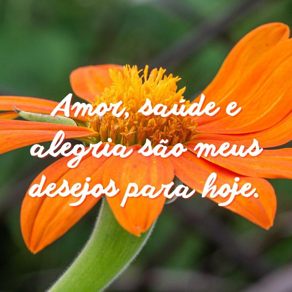 Boa Tarde 30 de Outubro de 2022 19