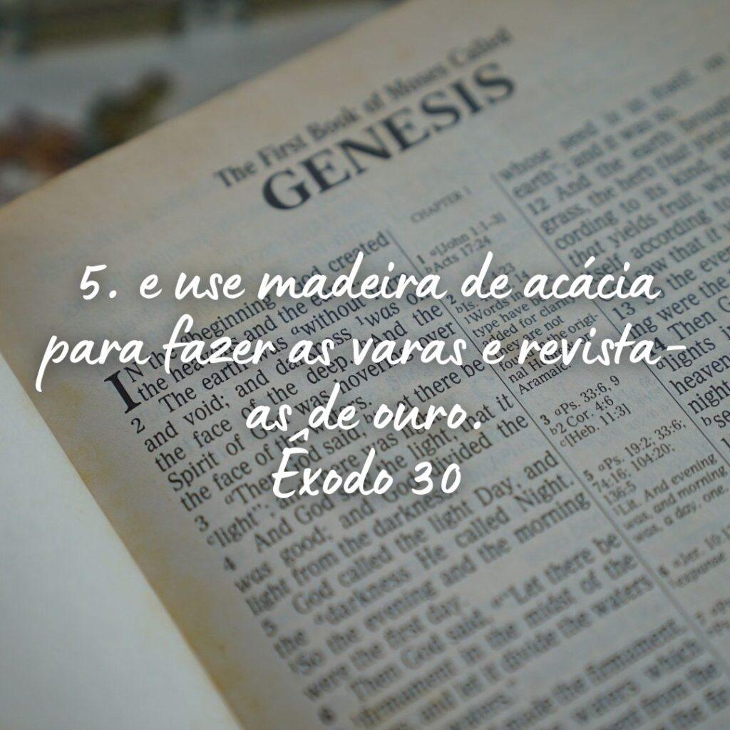Salmos 28 de Outubro de 2022 5
