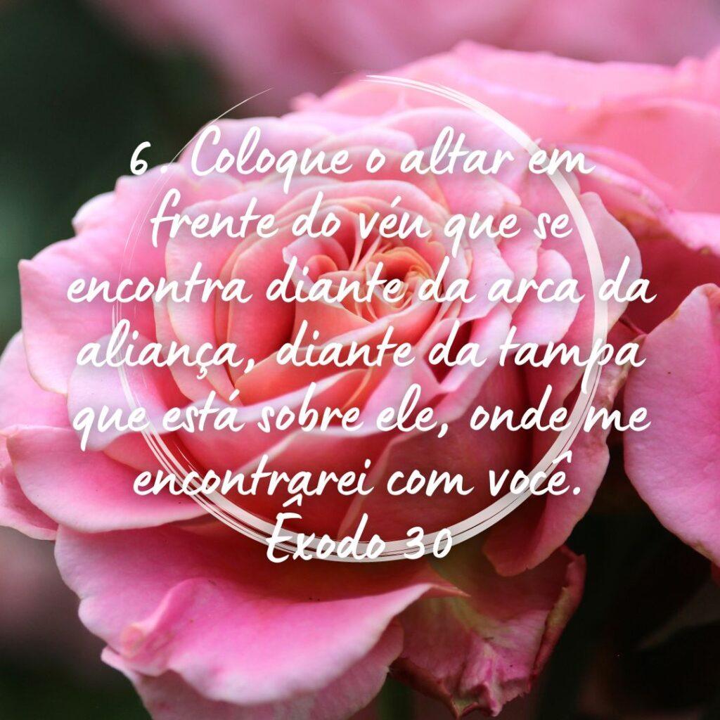 Salmos 28 de Outubro de 2022 7