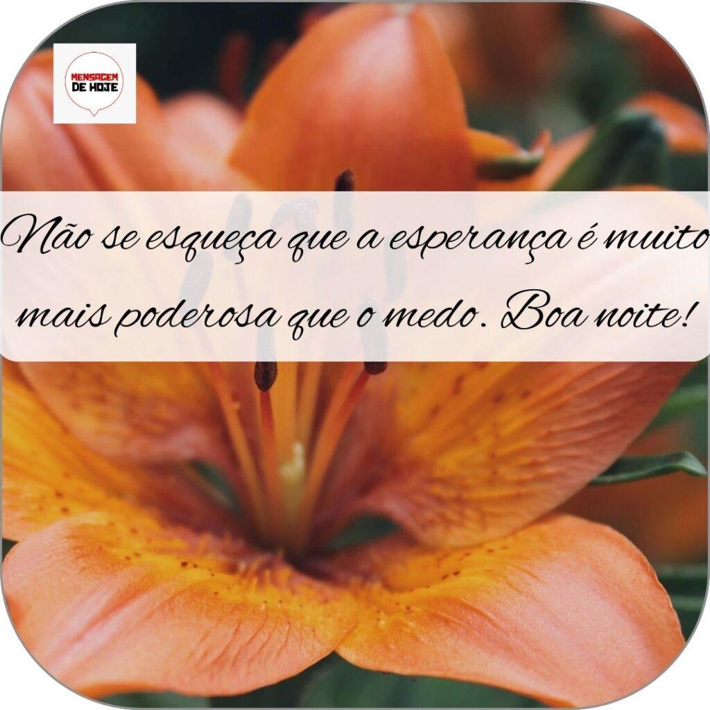 Boa Noite 29 de Outubro de 2022 15