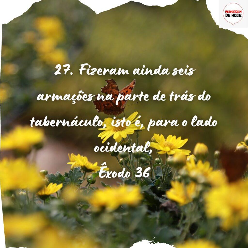 Salmos 17 de Novembro de 2022 17