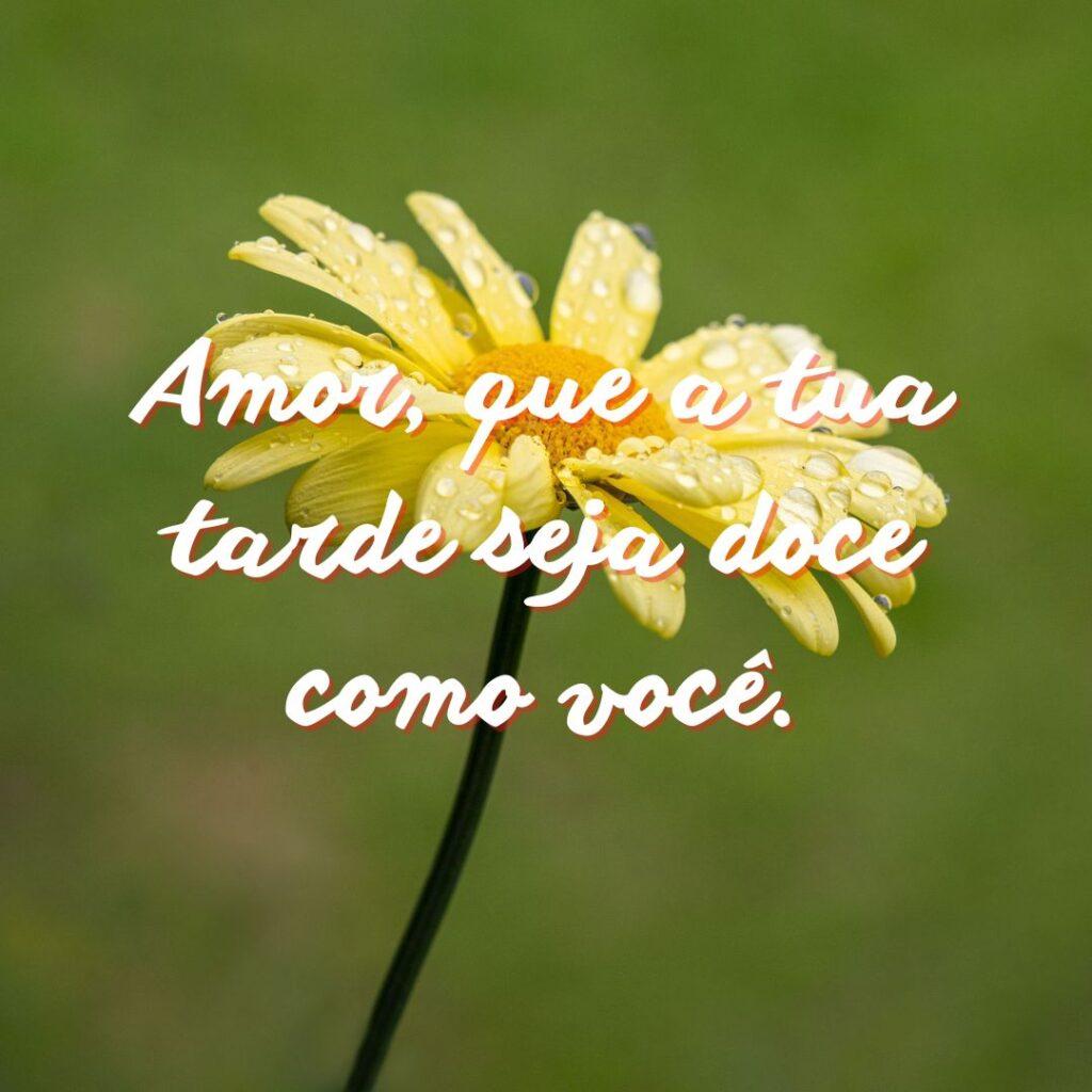 Boa Tarde 31 de Outubro de 2022 19