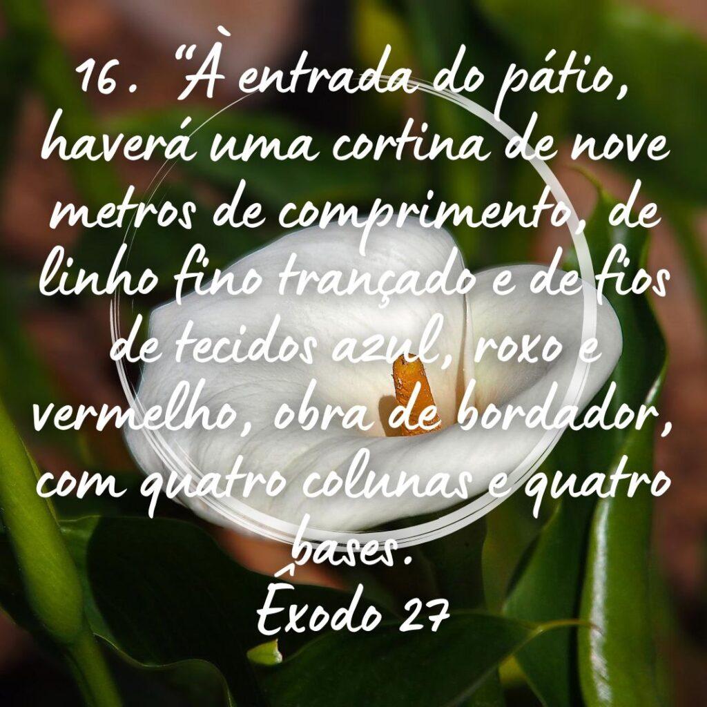 Salmos 18 de Outubro de 2022 7