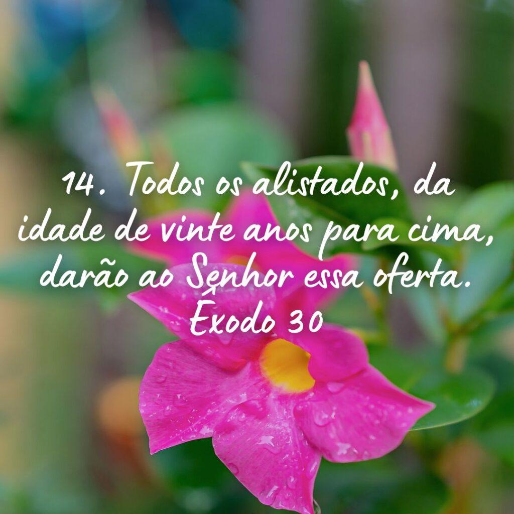 Salmos 28 de Outubro de 2022 3