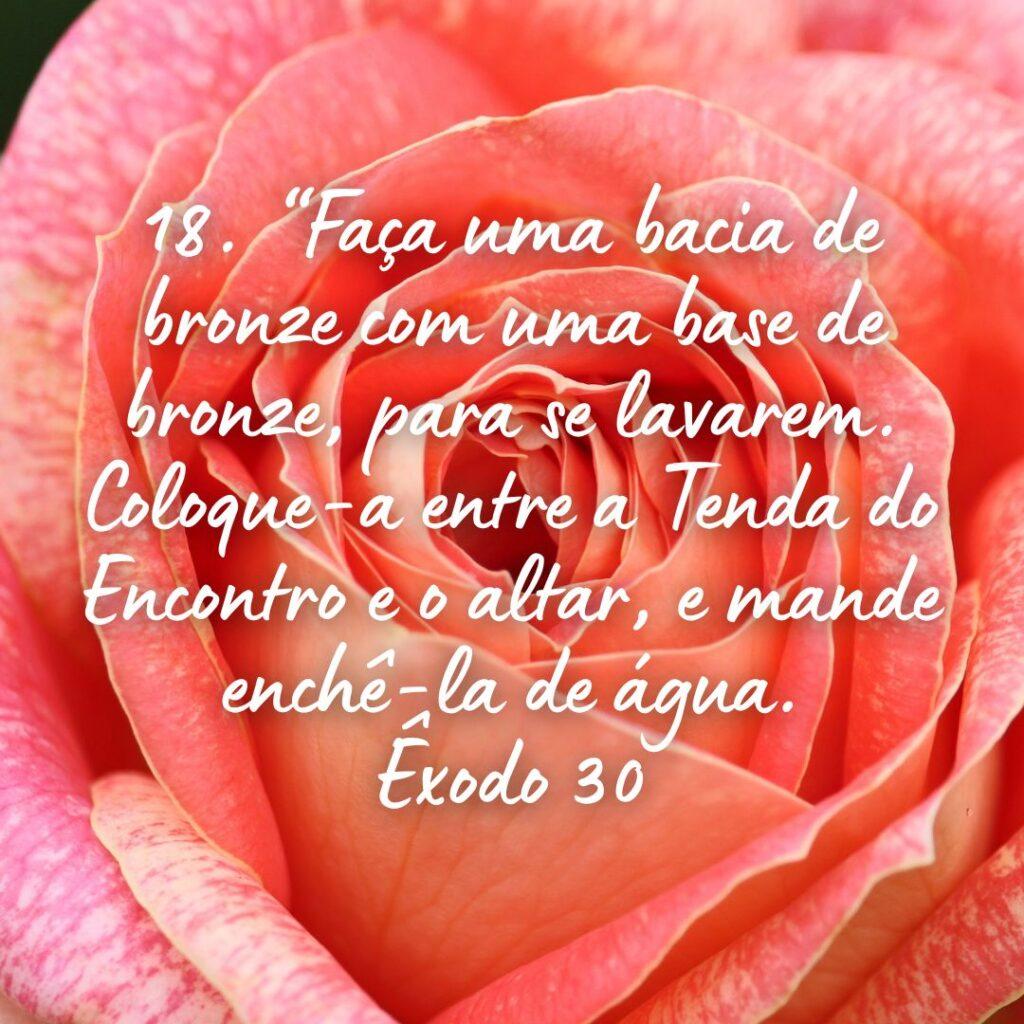 Salmos 29 de Outubro de 2022 11