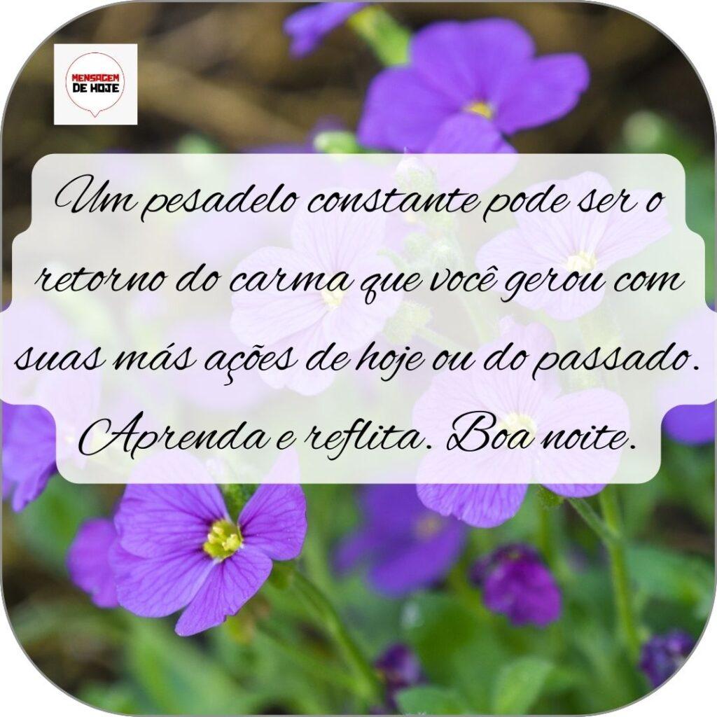 Boa Noite 30 de Outubro de 2022 11