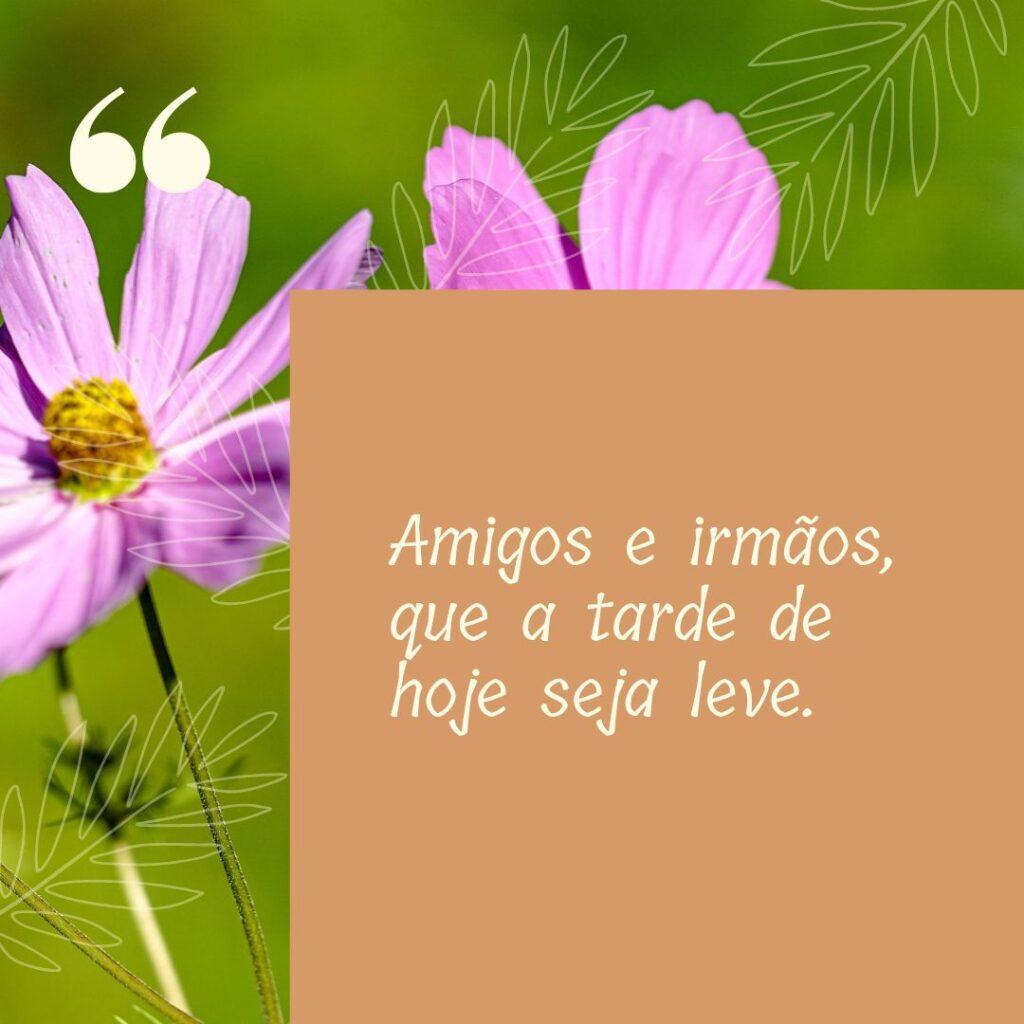 Boa Tarde 01 de Novembro de 2022 15