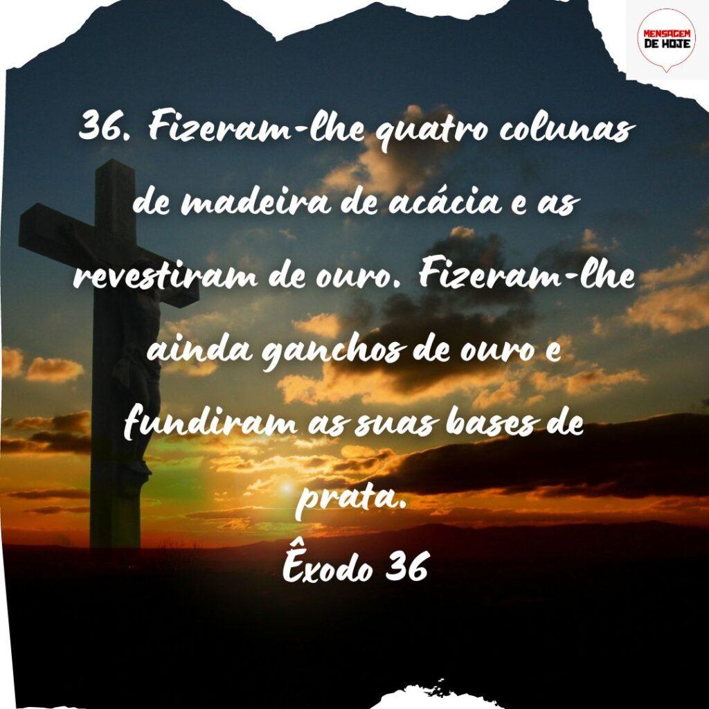 Salmos 18 de Novembro de 2022 15
