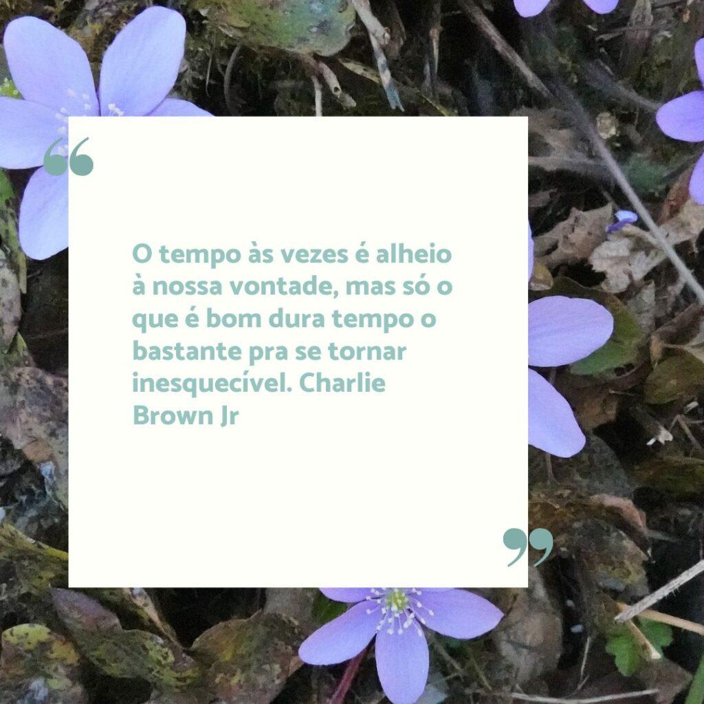 Boa Tarde 01 de Novembro de 2022 19