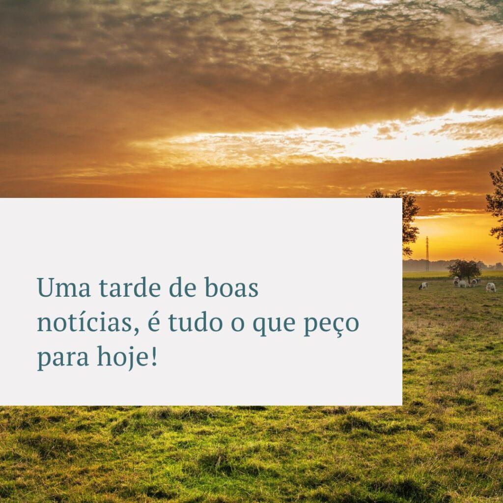 Boa Tarde 01 de Novembro de 2022 1