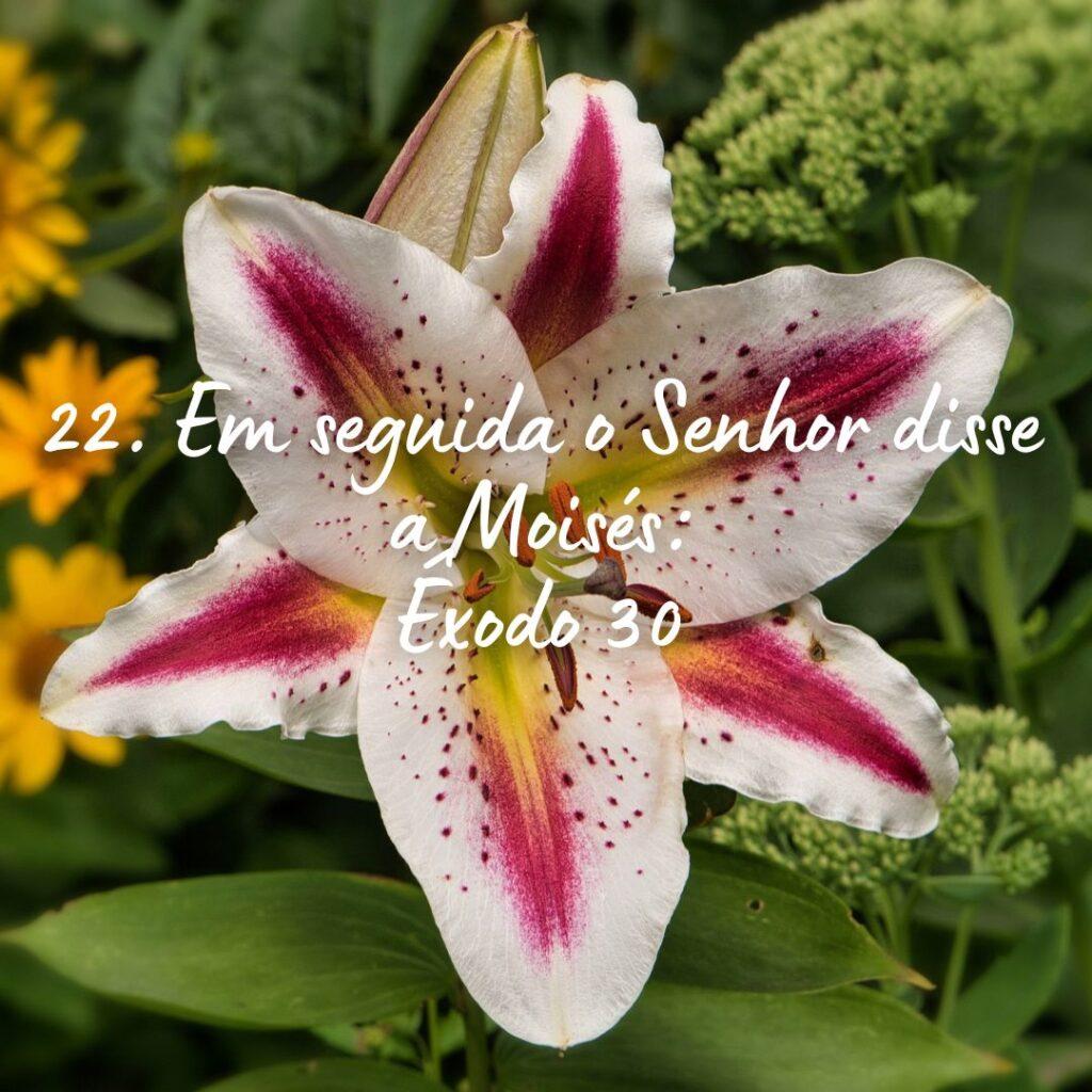 Salmos 29 de Outubro de 2022 19