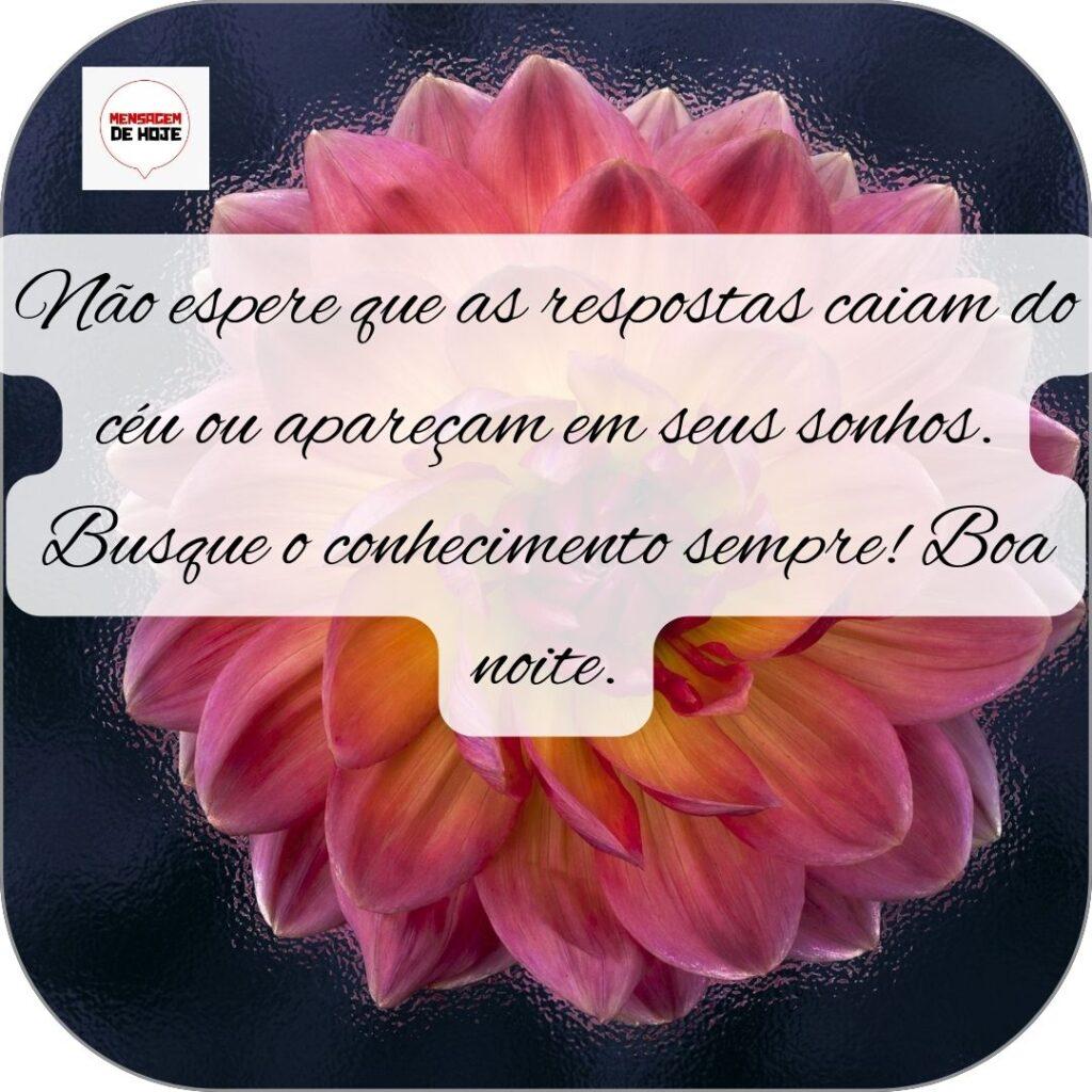 Boa Noite 30 de Outubro de 2022 19