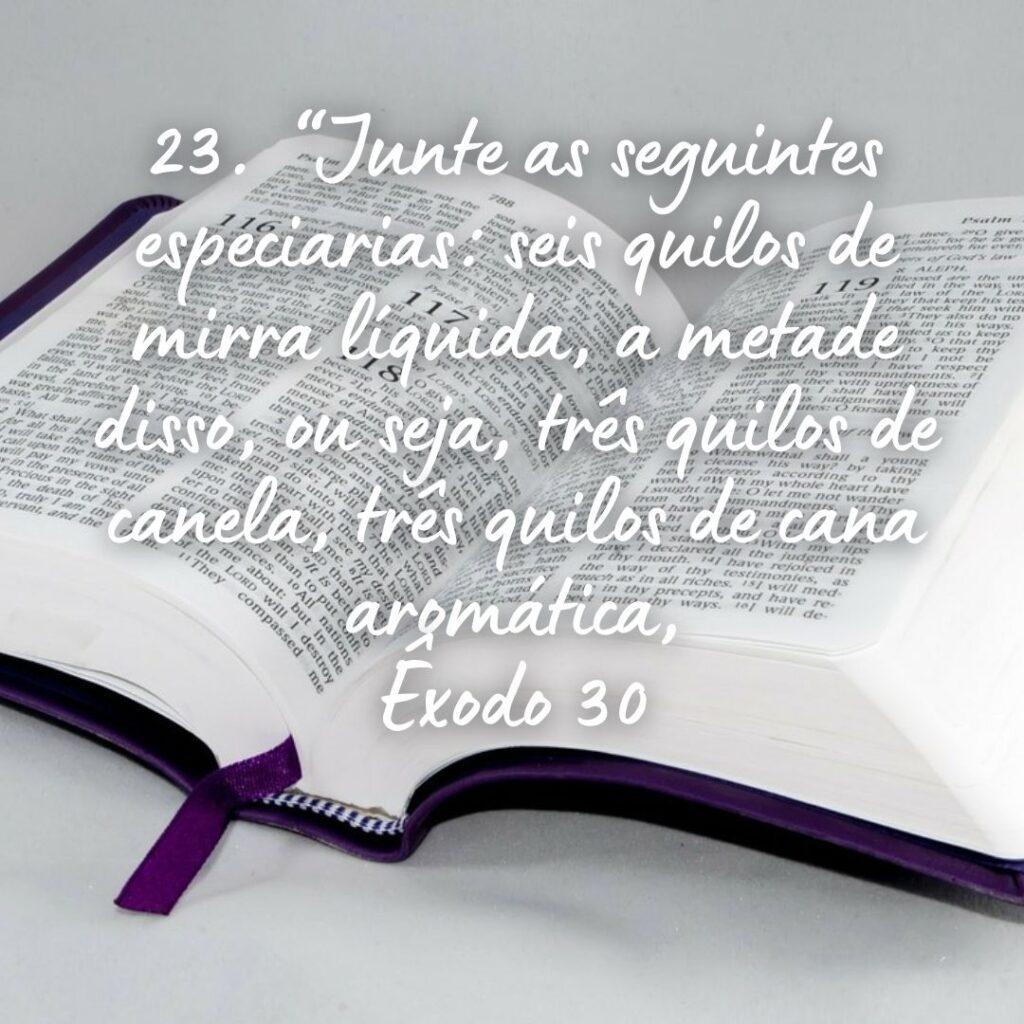 Salmos 29 de Outubro de 2022 1