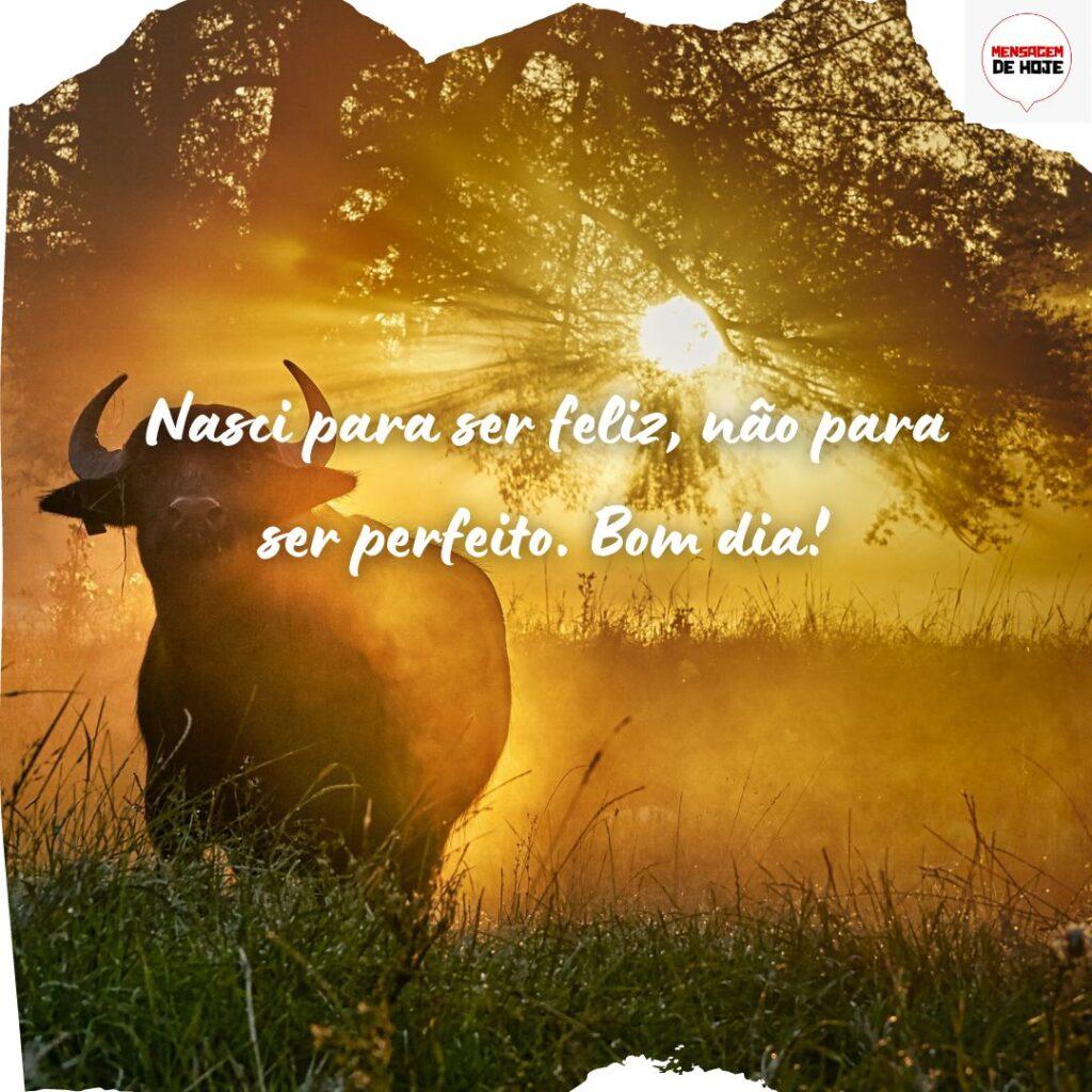 Bom Dia 19 de Novembro de 2022 5