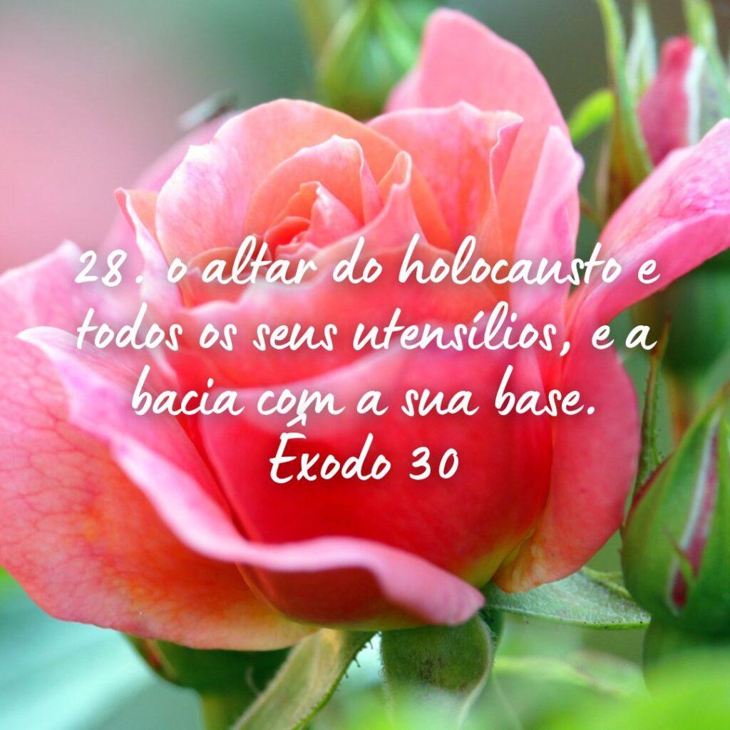 Salmos 30 de Outubro de 2022 11