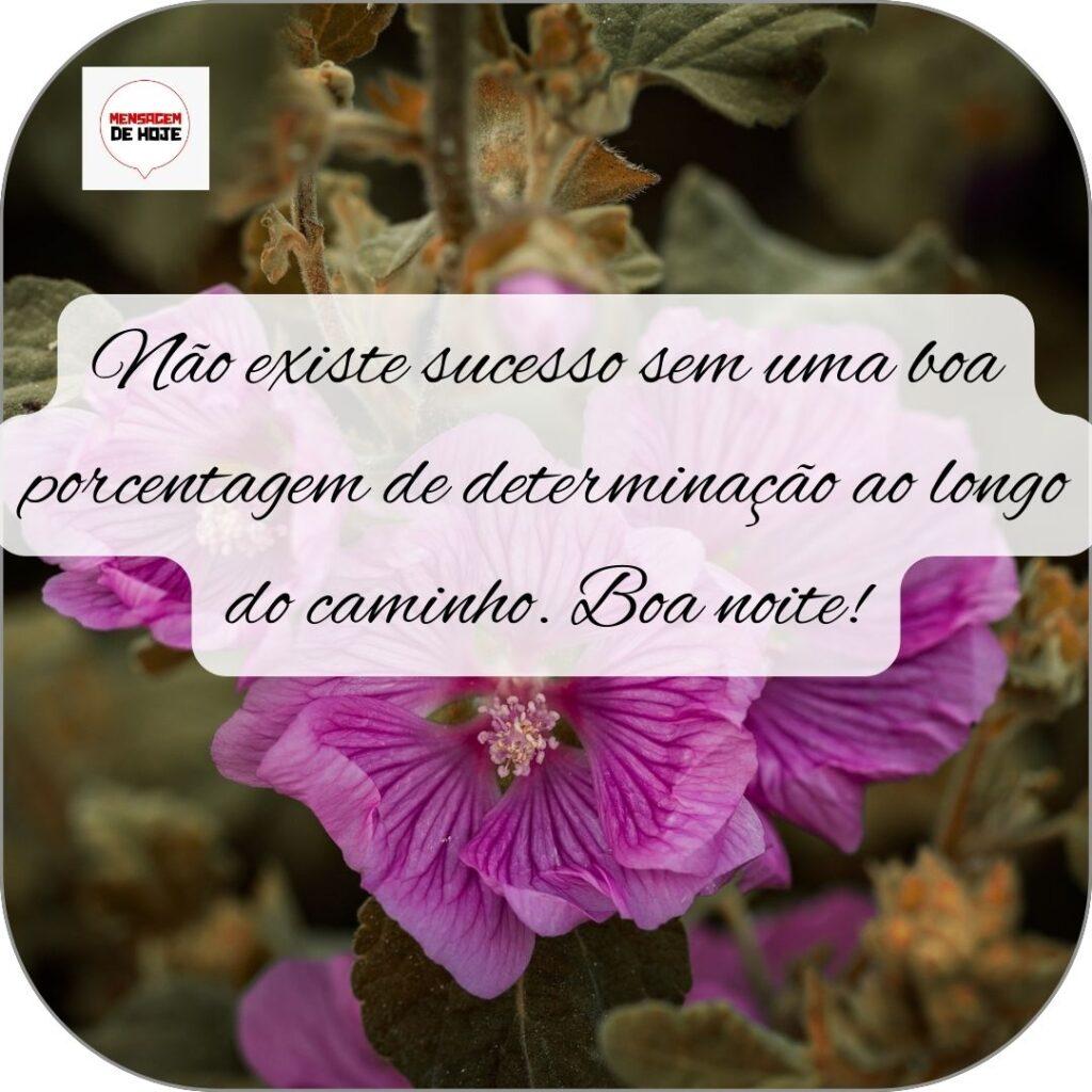 Boa Noite 31 de Outubro de 2022 19