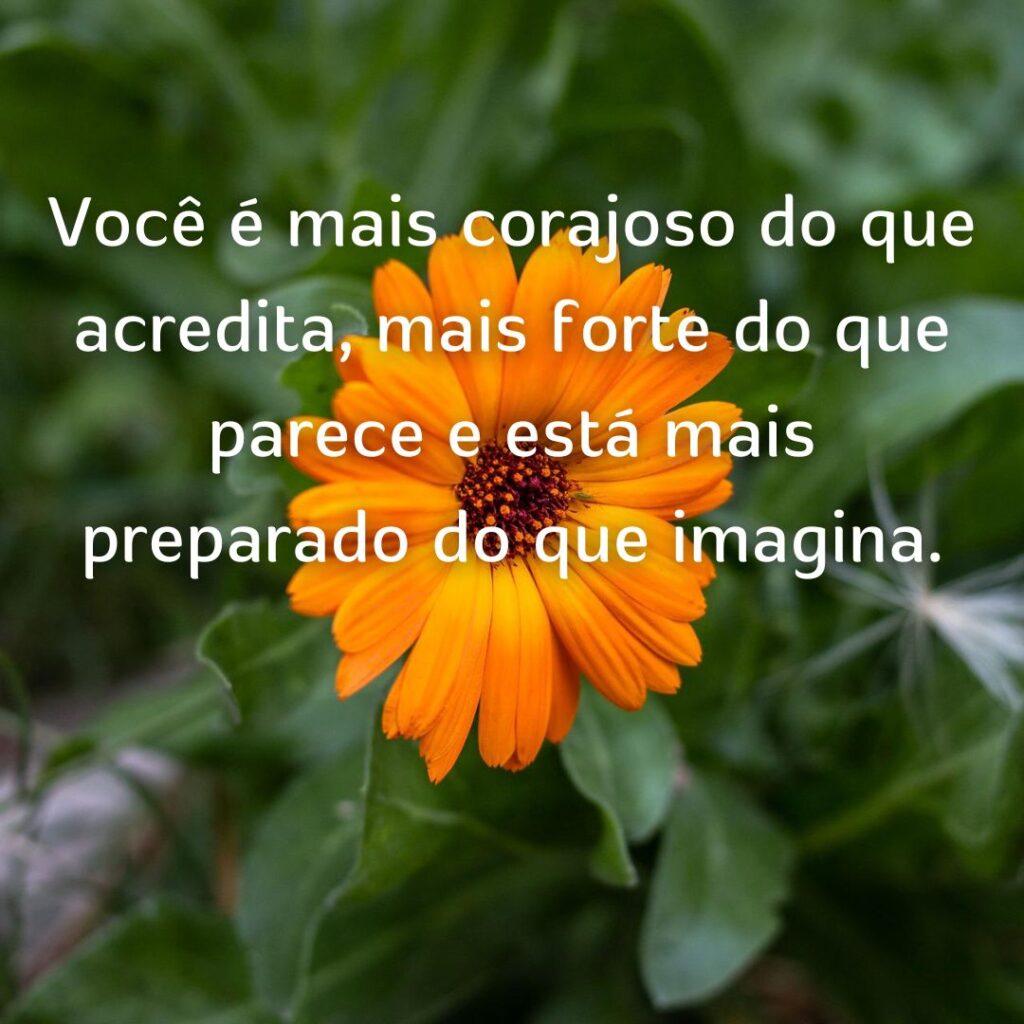 Boa Tarde 02 de Novembro de 2022 3